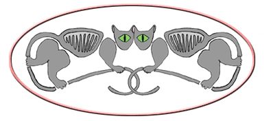 Grey-cat.com